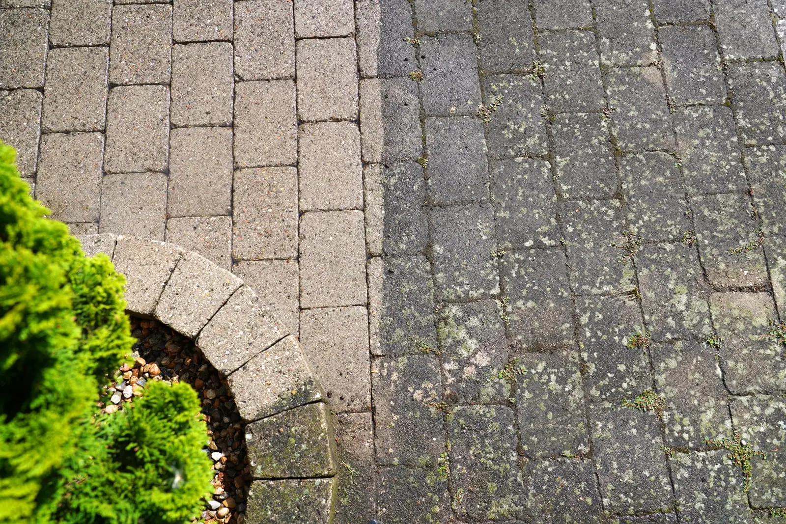 Patio paving with clean joints after cleaning